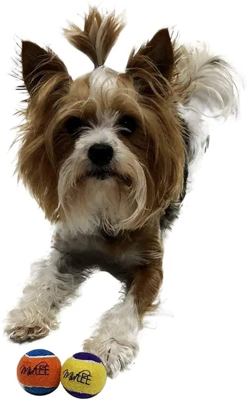 Midlee Squeaky Mini Tennis Ball for Dogs 1.5"- Pack of 12 (Yellow/Purple) - Image 3